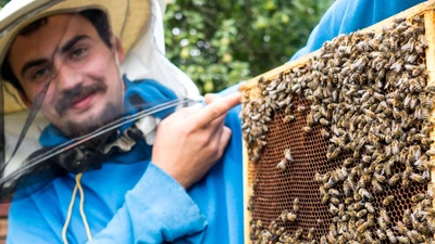 Kacper Baranowski – pracowity jak pszczoła!