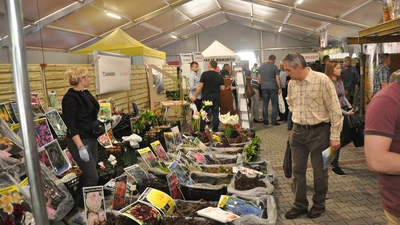 Pietrowice Wielkie: Wielkanocne stoły odwołane. A co z Eko-wystawą?