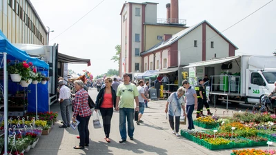 Jubileuszowa Eko-wystawa odwołana z powodu koronawirusa