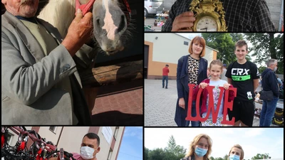 Każdy towar znajdzie swojego amatora. Czyli kilka słów o tym, jak odżył targ staroci i koni w Pietrowicach Wielkich