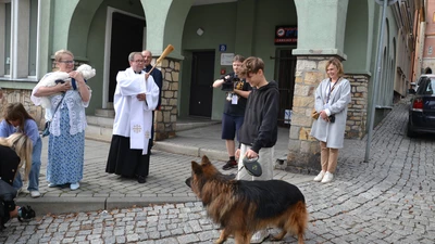 W Wodzisławiu pobłogosławiono zwierzęta i ich właścicieli [ZDJĘCIA]