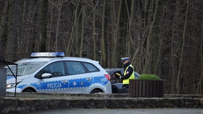 Policjant i funkcjonariuszka zakładu karnego zatrzymali w Świerklanach nietrzeźwą kierującą