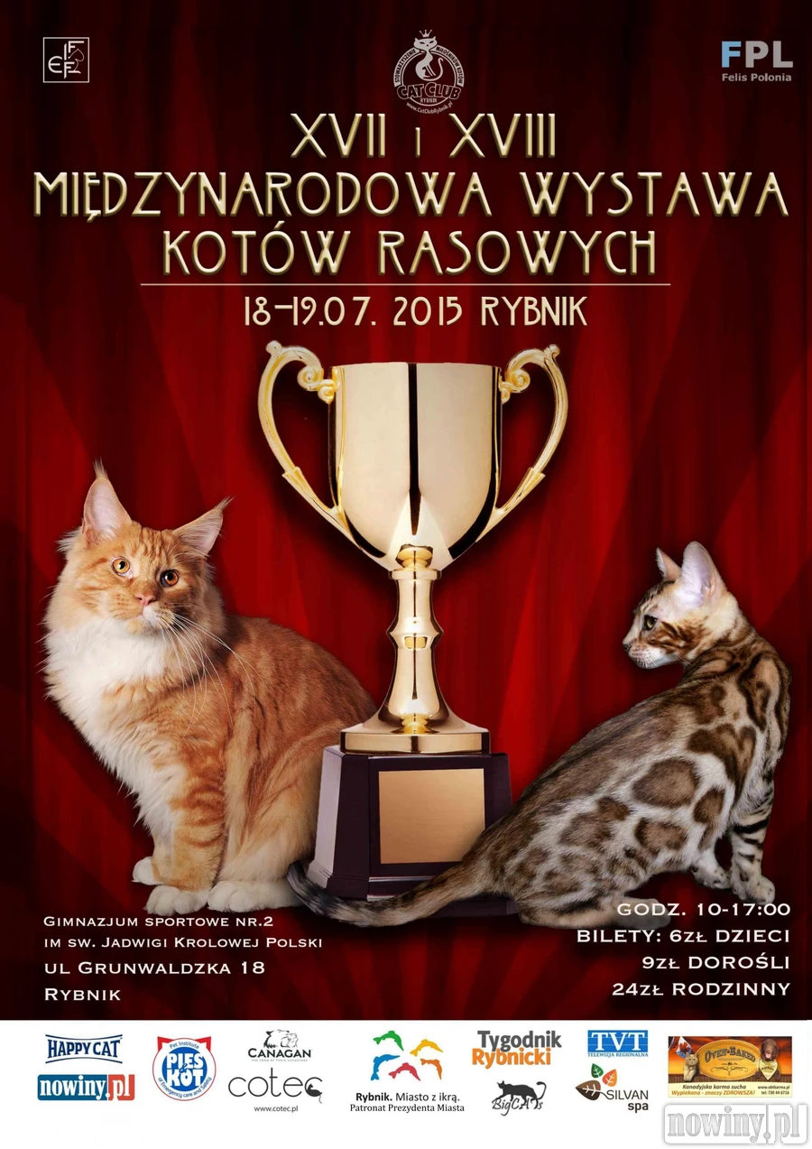 Wystawa kotów pod naszym patronatem