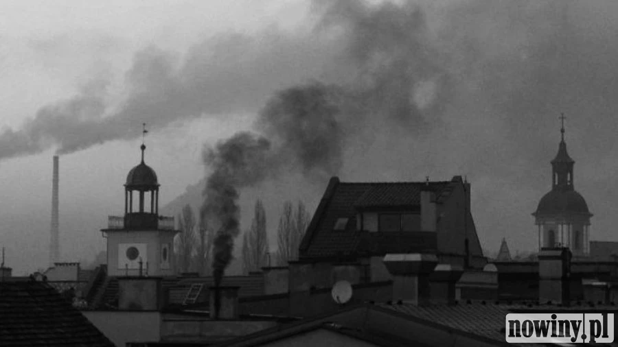 Każdy rybniczanin wypala 9 papierosów dziennie