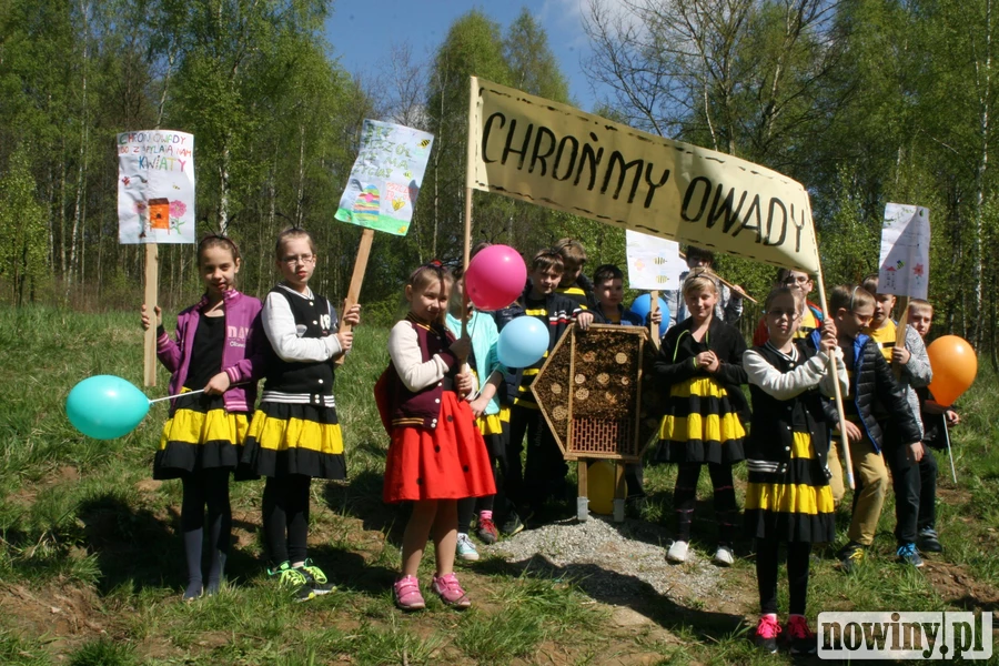 Chrońmy owady - młodzi wodzisławianie urządzili happening na Trzech Wzgórzach