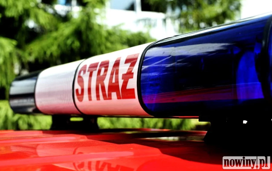 Lokator gniótł czosnek. Przyjechała straż pożarna i pogotowie gazowe