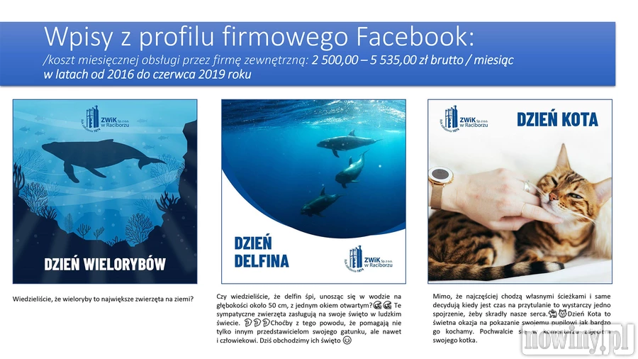 Kto popłynie na delfinie
