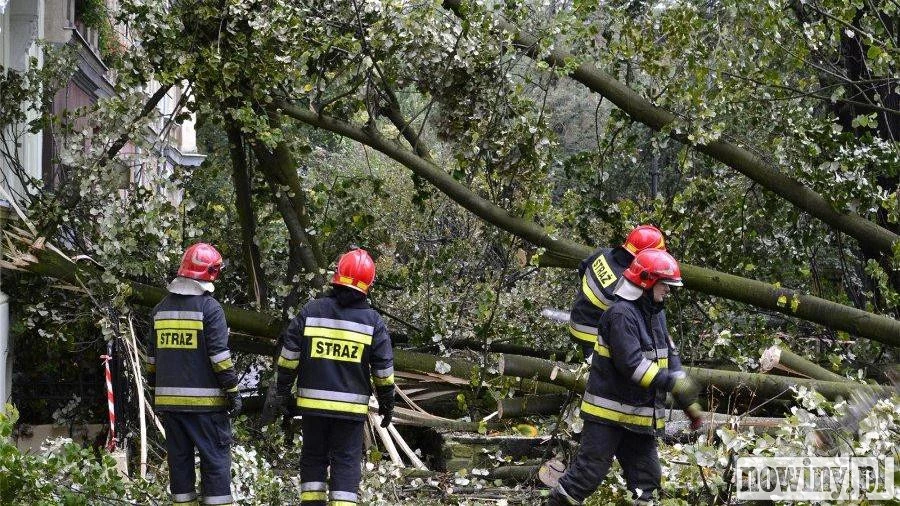 Wichura w powiecie raciborskim. Interwencje strażaków w Nędzy, Raciborzu oraz Turzu