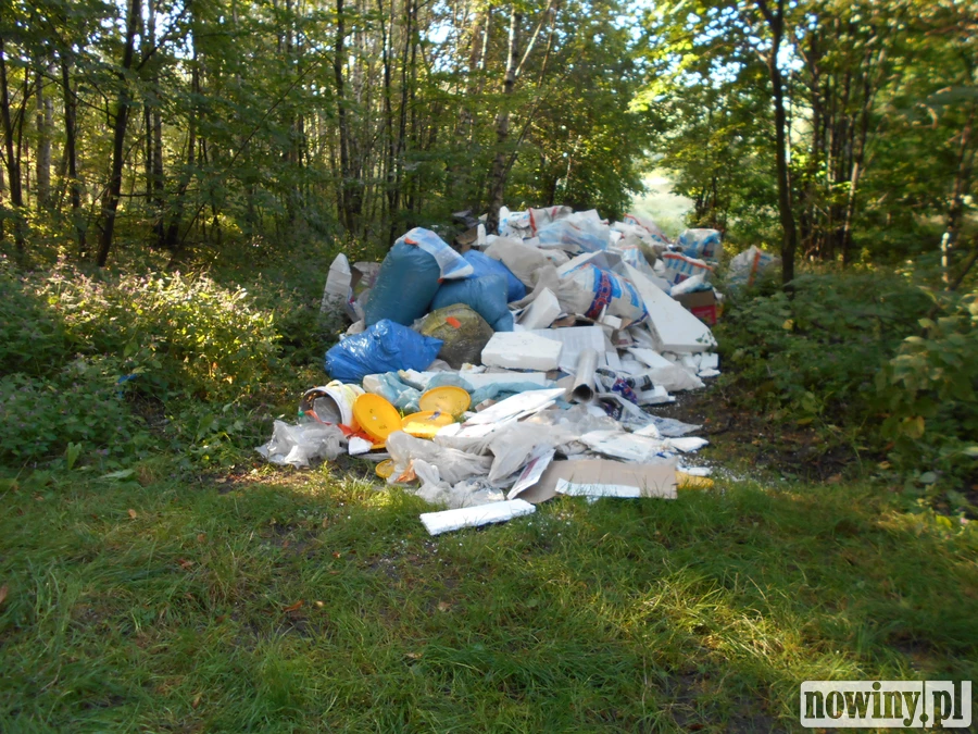Zaśmiecanie i spalanie odpadów – z tym walczą strażnicy z Raciborza