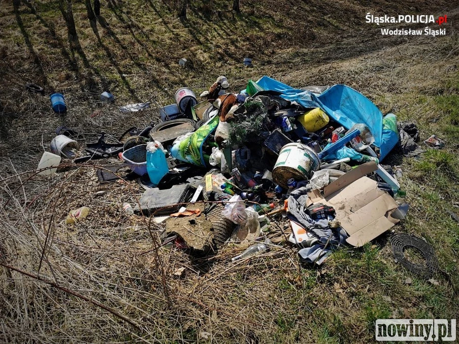 Śmieci w lesie, sprawca ustalony. A kara? W teorii do 5 tys. zł, w praktyce znacznie niższa...