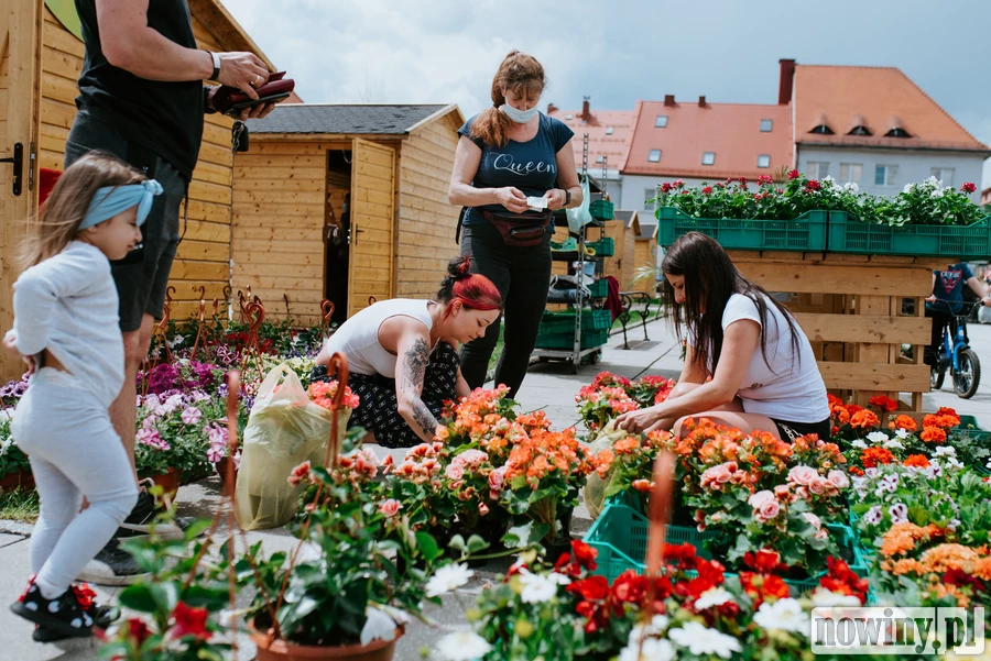 Trzy edycje Kwiatobazaru. Czy będą kolejne?