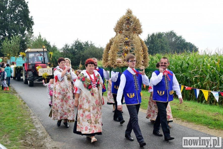 Dożynki w powiecie wodzisławskim? Większość gmin zrezygnowała, ale w jednej jest szansa na Lady Pank