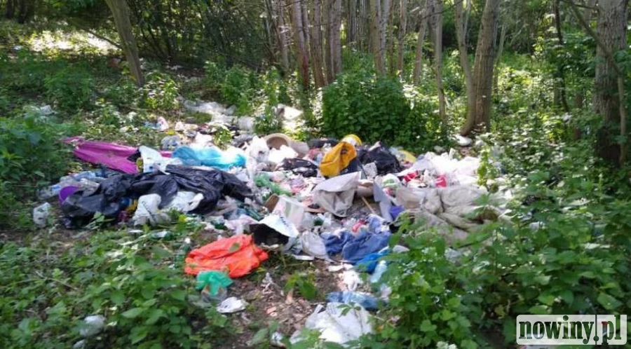 Nawet pięć tysięcy złotych grzywny za zaśmiecanie lasu
