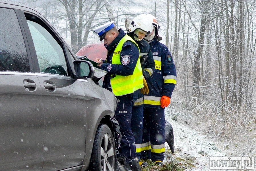 Policjanci proszą o pomoc świadków wypadku w Kornicach
