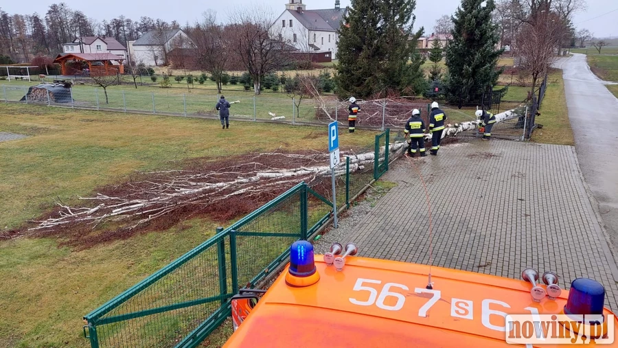 13 interwencji w godzinę. Strażacy usuwali skutki wichury w powiecie raciborskim