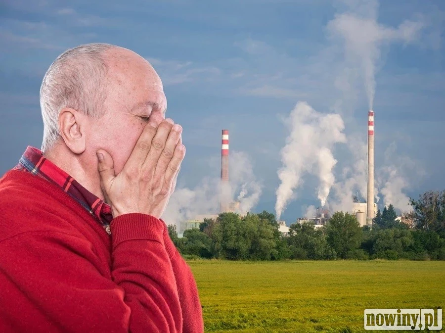 Złożyłeś już deklarację CEEB? To twój obowiązek