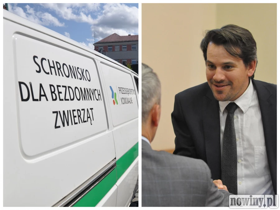 Kuliga: w schronisku dla zwierząt dzieje się coś dziwnego