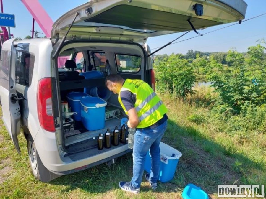 Tysiące śniętych ryb w Odrze. Wędkarze podejrzewają, że doszło do skażenia na wielką skalę