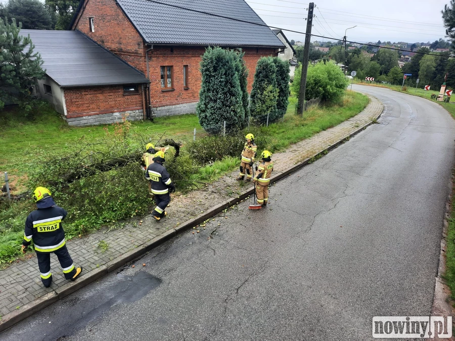 Strażacy w regionie walczą ze skutkami burz i ulew. Najtrudniejsza sytuacja w pow. raciborskim