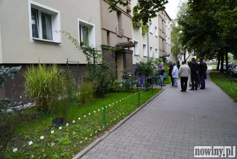 (Nie)zwykły raciborzanin upiększa ulicę Skłodowskiej. "Piękne miejsce, wspaniali sąsiedzi"
