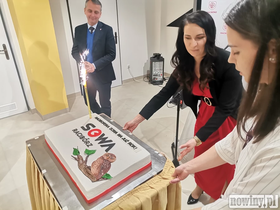 Tort z sową na pierwsze urodziny SOWY w Raciborzu. "Tu wiedza jest wdrukowana w nasz umysł"