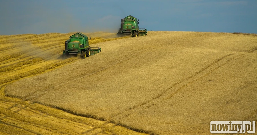 ARiMR prosi o informacje dotyczące zbóż. Rolnicy mogą spodziewać się telefonu