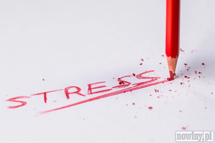 Kiedy stres sięga zenitu - czas podjąć odpowiednie kroki! Przed Tobą kilka informacji