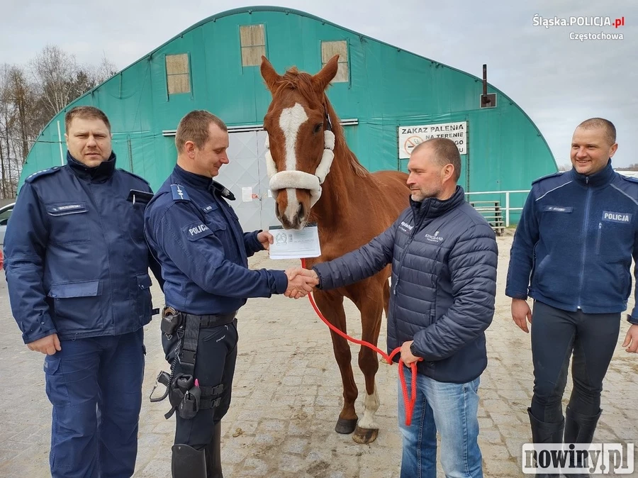 Śląski patrol: Koń Toszek po 15 latach służby w policji przeszedł na emeryturę. Wzruszający moment [ZDJĘCIE] 