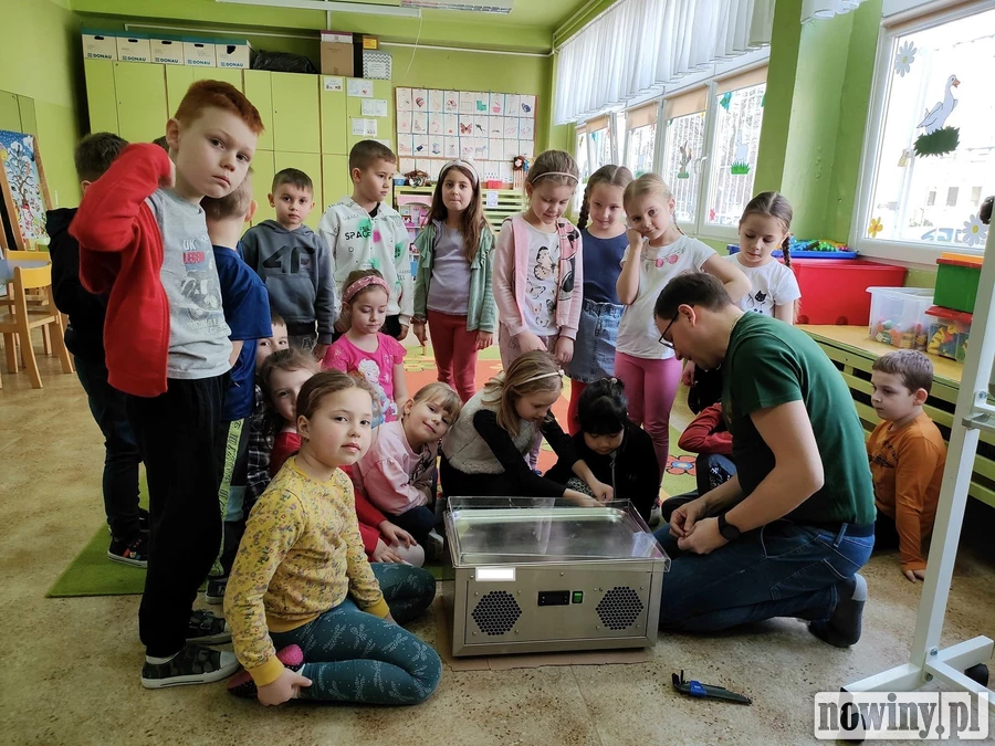 W przedszkolu nr 41 w Rybniku zakończyła się kolejna edycja ogólnopolskiego projektu
