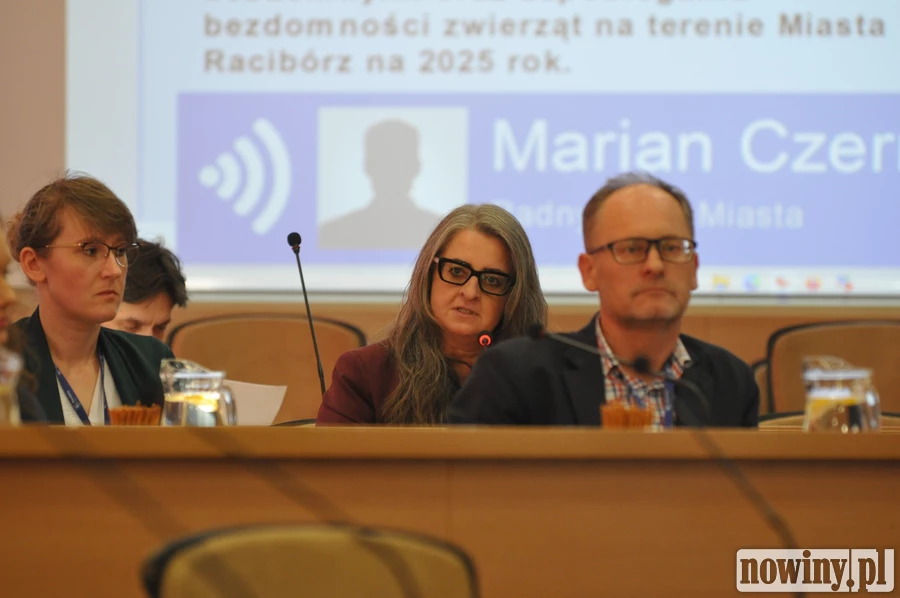 Schronisko wyglądało jak śmietnisko. Są już 3 nowe lokalizacje dla jego nowej siedziby. “Na którymś z osiedli? Wątpliwe”