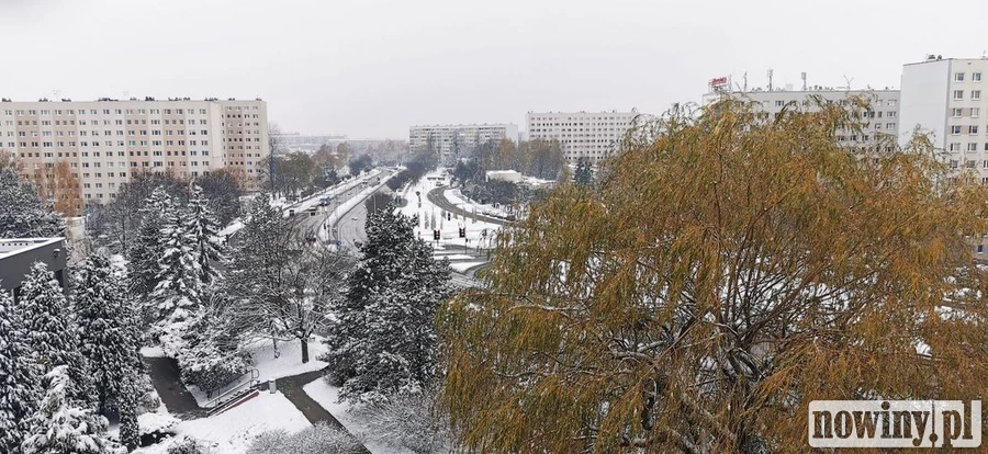 Prezydent Urgoł: Korki w mieście to problem globalny