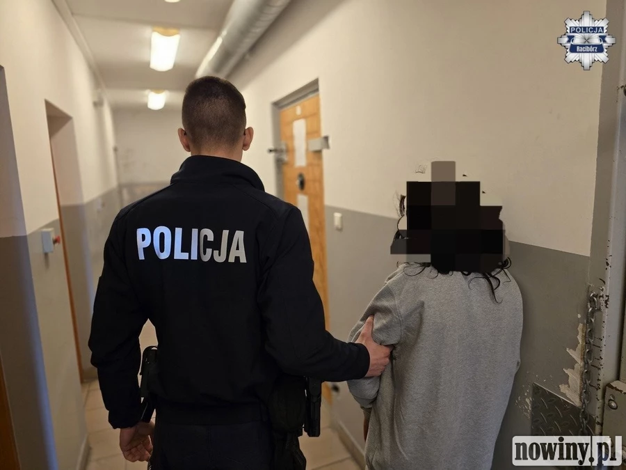 38-latka z Raciborza usłyszała zarzut po włamaniu do piwnicy