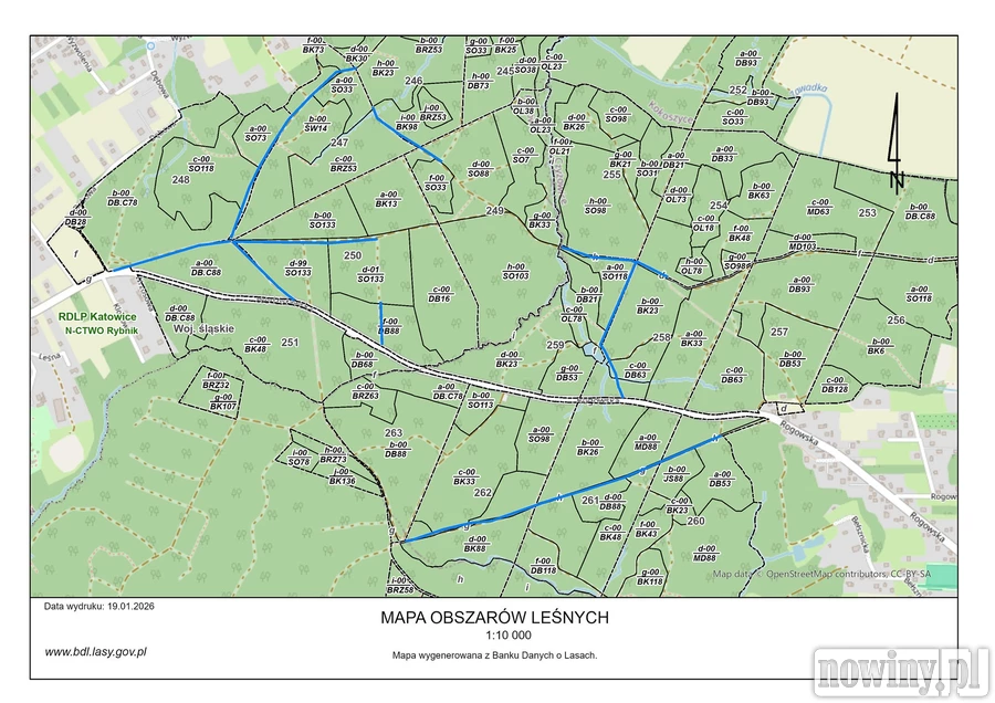 Wycinka w "lesie rogowskim". Nadleśnitwo Rybnik przekazało informacje
