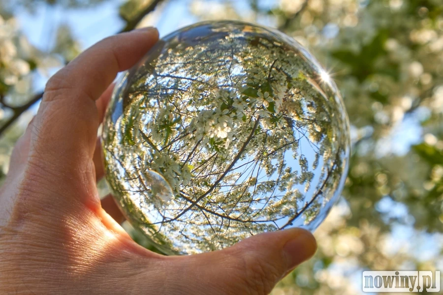 Rybnik, Jastrzębie-Zdrój i Krzanowice liderami w ochronie klimatu