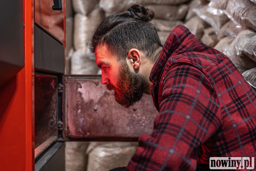 Lasów mamy dużo, piły pracują, a drewno wciąż drożeje. Dlaczego zabrakło pelletu w środku sezonu grzewczego?