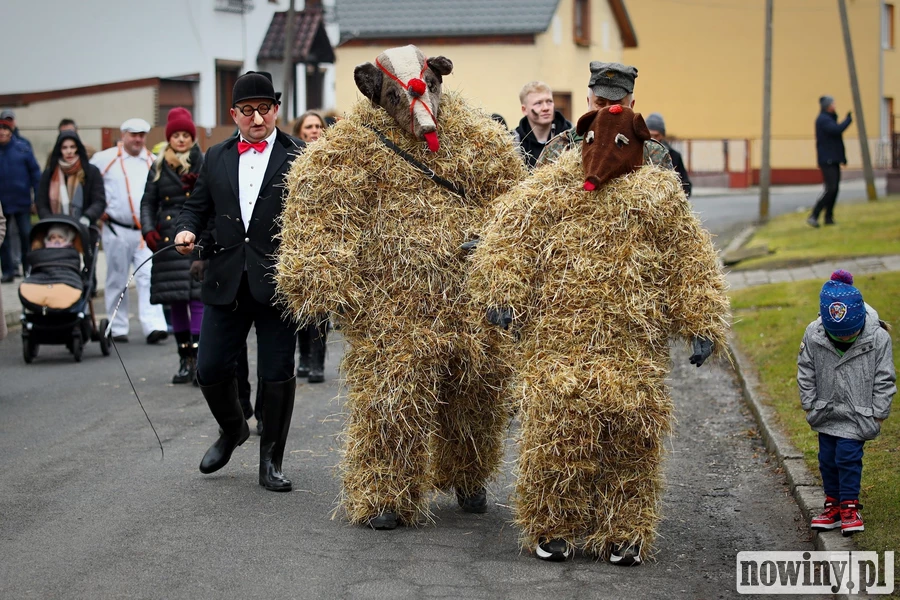 Niedźwiedzie na ulicach Samborowic. Tanzbär żegna karnawał [ZDJĘCIA][WIDEO]