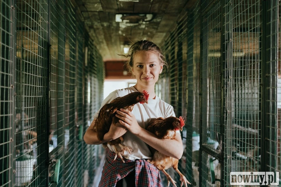 Nowy kierunek w Rydułtowach. Od września technik weterynarii