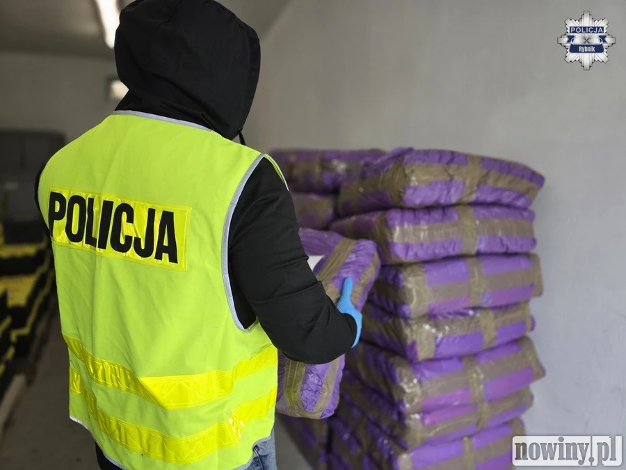 62-latek zatrzymany na gorącym uczynku. Grozi mu kara więzienia i wysokie grzywny