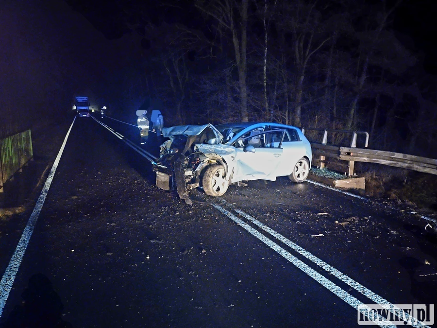 Rozbity samochód na drodze, kierowca w zaroślach. Raciborska policja o szczegółach zdarzenia z Jankowic