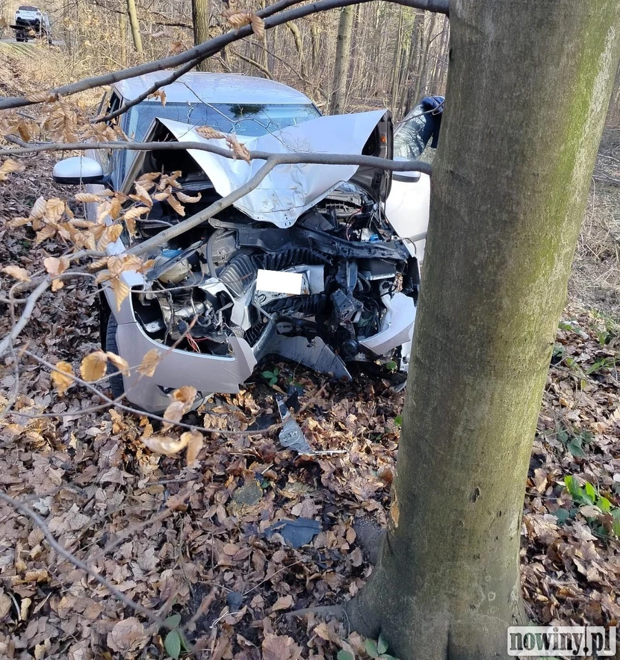Samochód wypadł z jezdni i uderzył w drzewo na ulicy Grodzisko w Wodzisławiu