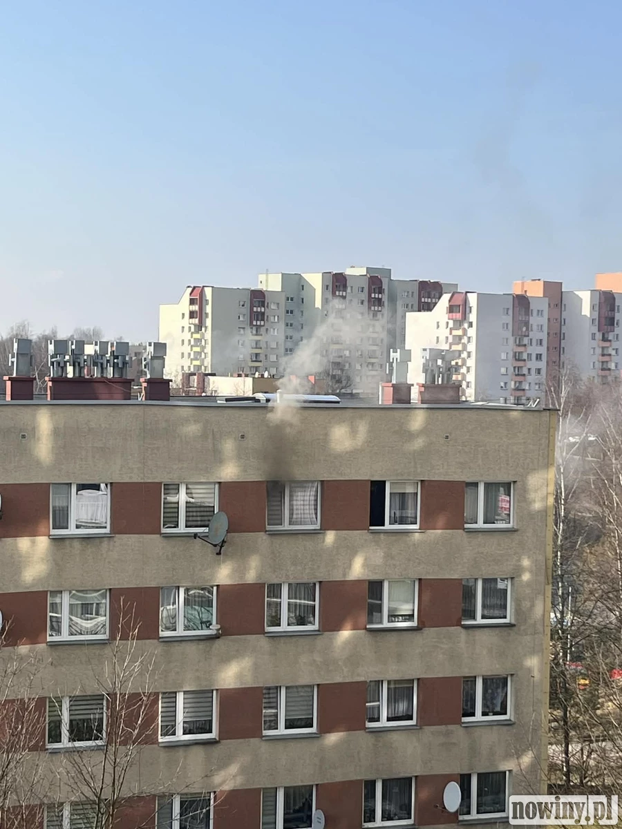 "Z okna mieszkania wydobywa się dym". Pożar na XXX-lecia w Wodzisławiu Śląskim