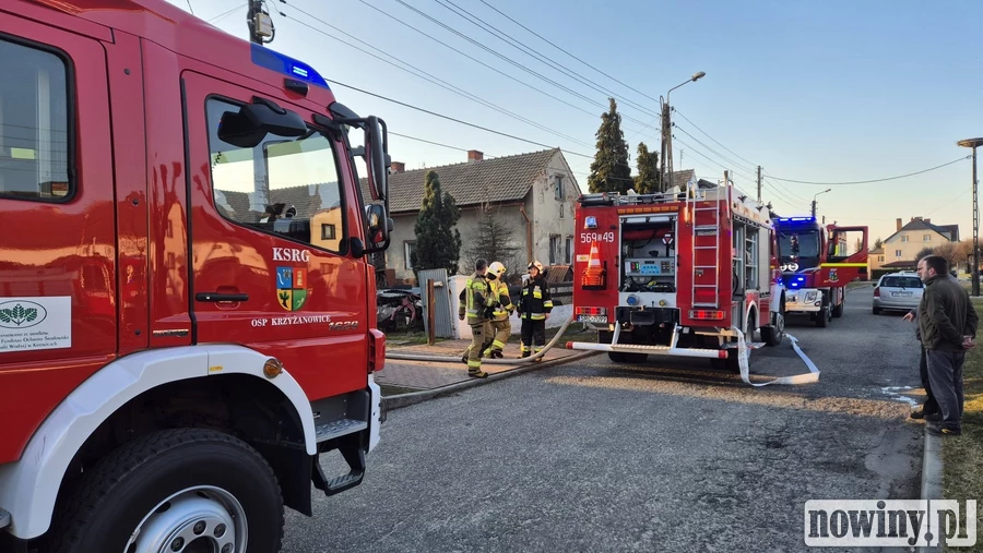 Podpalili stodołę i tuje w Tworkowie. Dwóch mężczyzn zatrzymanych
