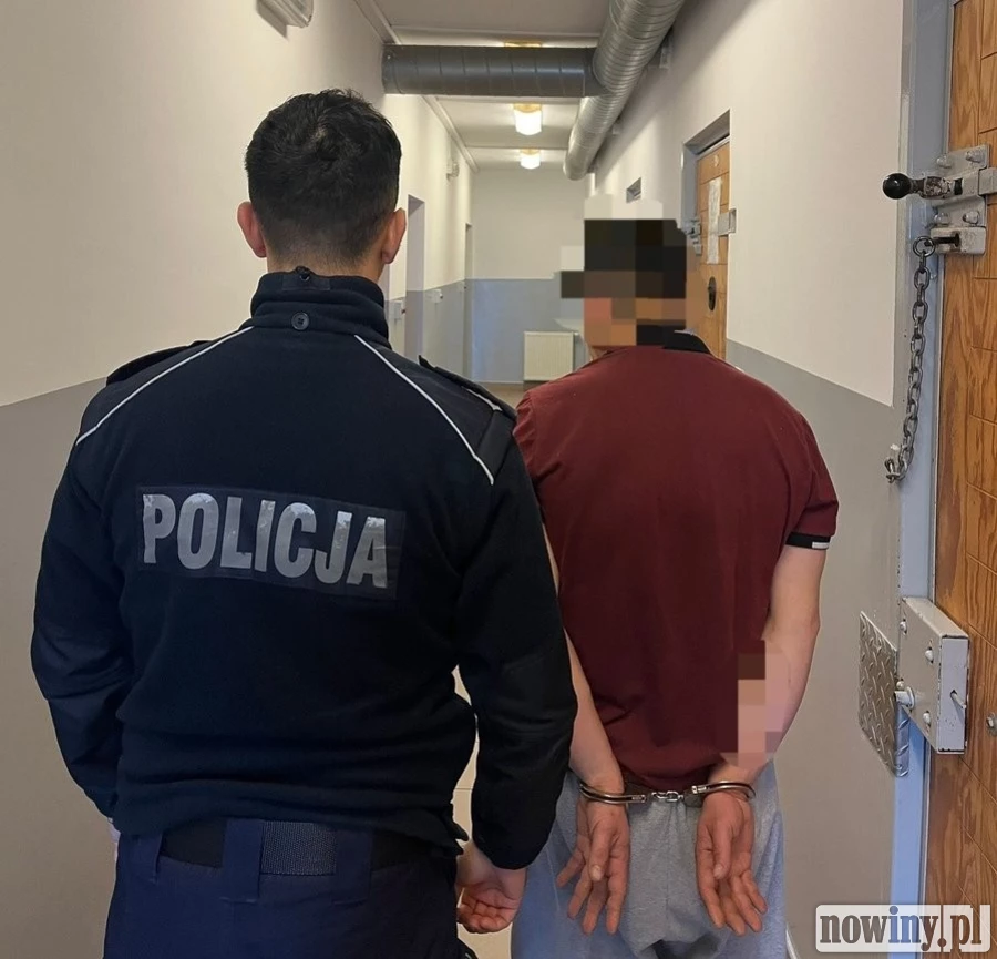 Znów doszło do kradzieży w gminie Krzyżanowice. Obywatele Czech usłyszeli zarzuty