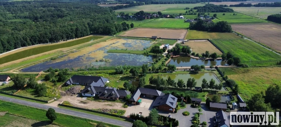 Dolina Baryczy Noclegi: Idealny pomysł na weekend – raj dla rowerzystów, miłośników ptaków i nie tylko!