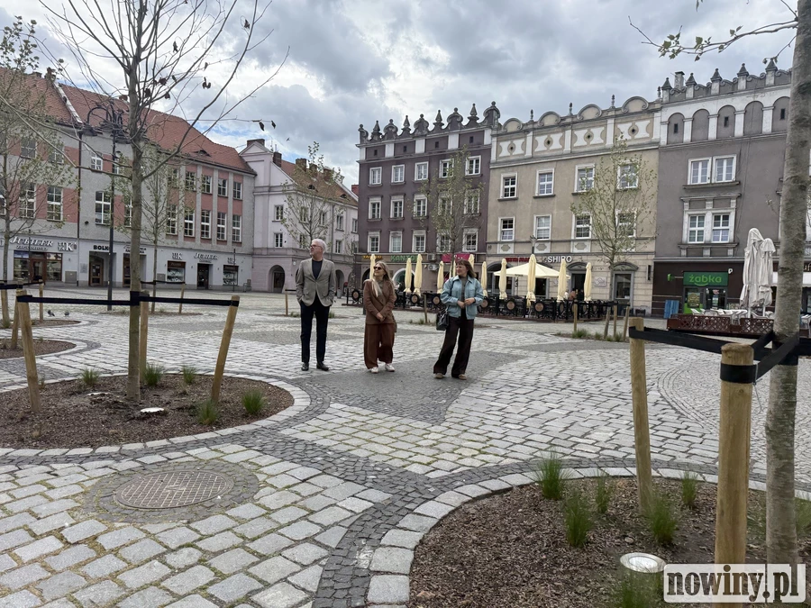 Gołębia antykoncepcja ma być sposobem na redukcję ptasich odchodów na rynku w Raciborzu