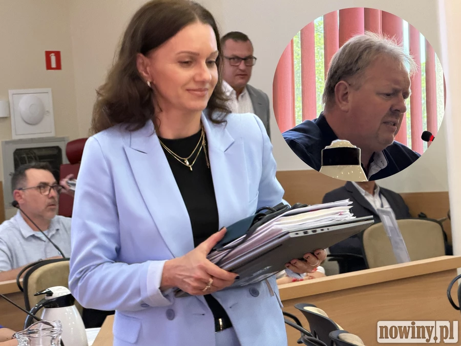 Czy urząd miasta pozwolił na wycinkę lasu w Oborze?