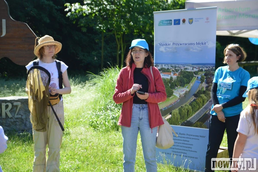 BioBlitz w Arboretum Bramy Morawskiej. Uczestnicy sprawdzali, ile gatunków kryje lokalna przyroda