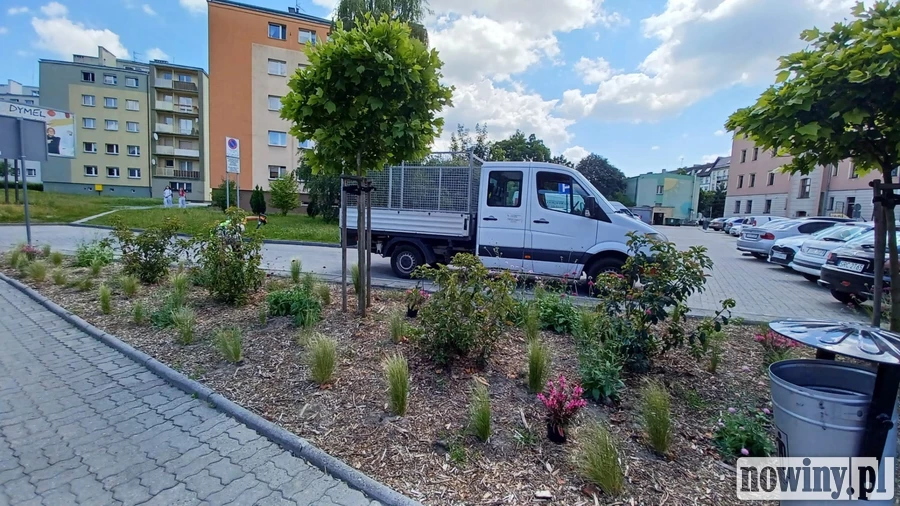 Nowe rabaty w Raciborzu. Mają lepiej znosić suszę i mniej kosztować w utrzymaniu