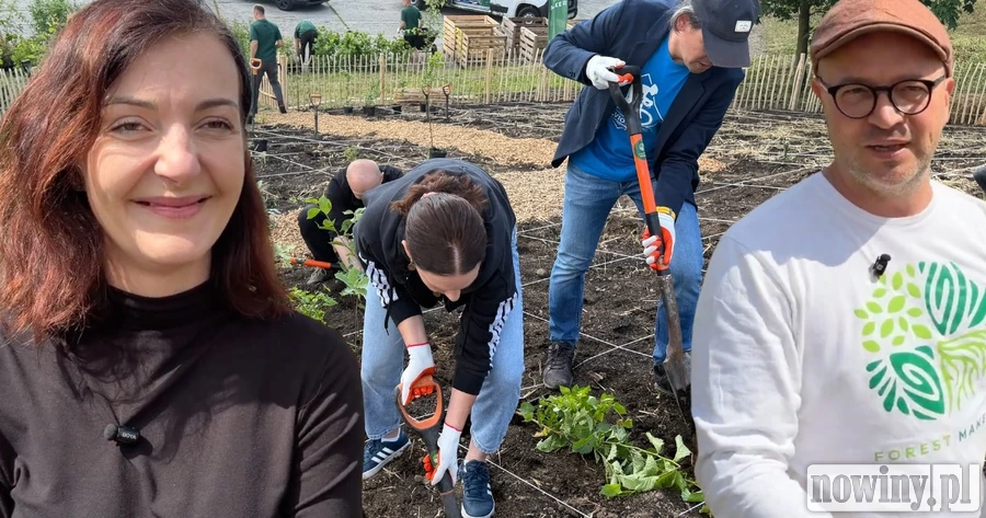 Pogromcy rdestowca do boju rzucili 45 gatunków roślin. Walka potrwa latami
