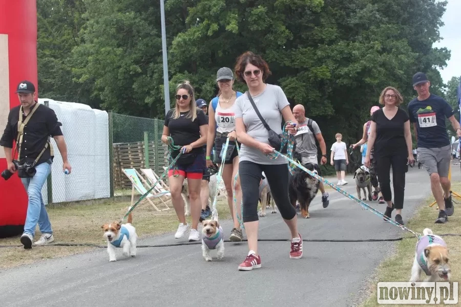 Bieg z psem i charytatywny spacer. W Nędzy realizowane są zapisy na II Zawody Dogtrekkingu